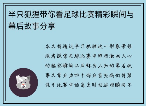半只狐狸带你看足球比赛精彩瞬间与幕后故事分享